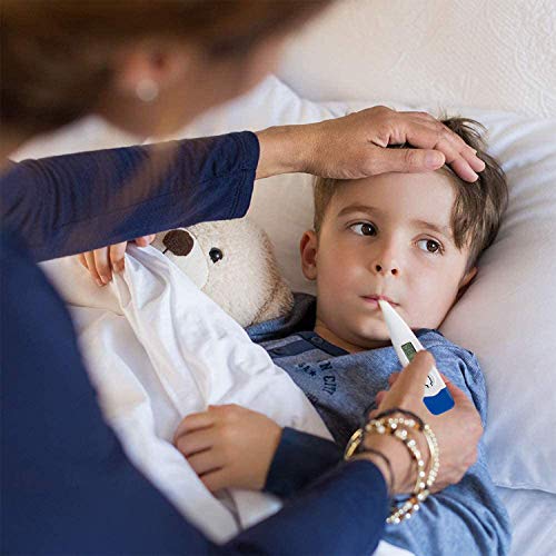 Electronic Oral Thermometer, Digital Thermometer, Rectal and Oral...