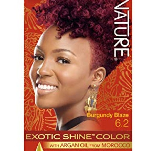 Creme Of Nature Exotic Shine Permanent Hair Color #6.2 Kit Argan ...