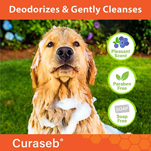 Curaseb Chlorhexidine 4% Shampoo for Dogs & Cats, Maximum Strengt...