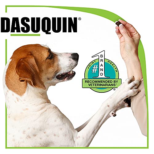 DASUQUIN MSM Chewable Tablets for Large Dogs 60 lbs. +, Count of ...