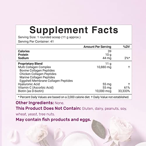 Multi Collagen Protein Powder | 1Lb, Type I, II, III, V, X Collag...