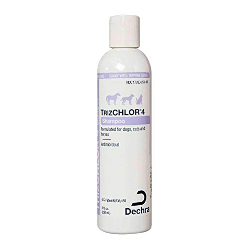 Dechra TrizCHLOR 4 Shampoo for Dogs, Cats & Horses 8oz