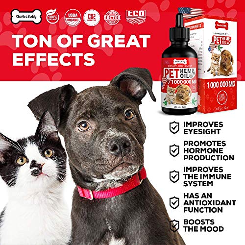 Hеmp Oil Dogs Cats - Anxiety, Pain, Stress, Arthritis, Seizures R...