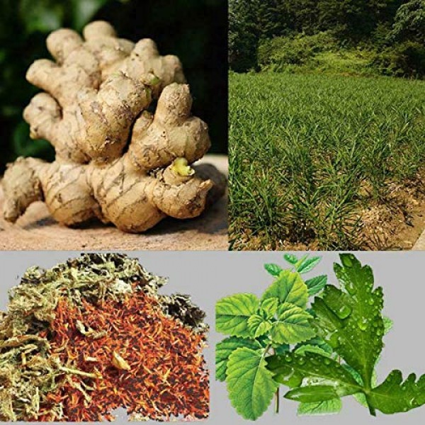 Amazing Herbal Ginger Patch- 10PC
