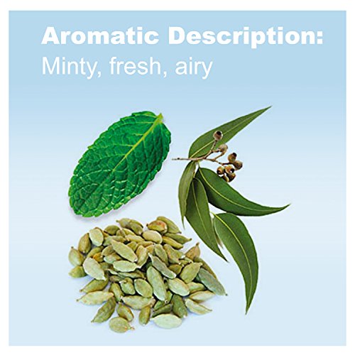 doTERRA - Breathe Essential Oil Respiratory Blend - 15 mL