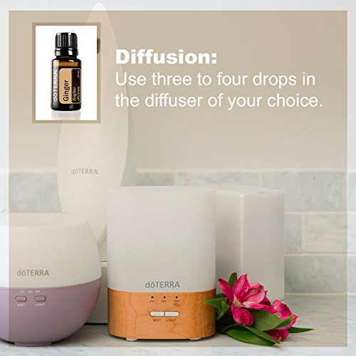 doTERRA - Ginger Essential Oil - 15 mL