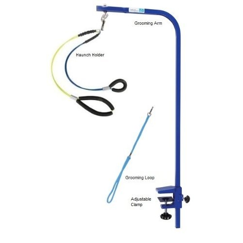 Downtown Pet Supply Grooming Arm with Clamp 36 Adjustable Arm-P...