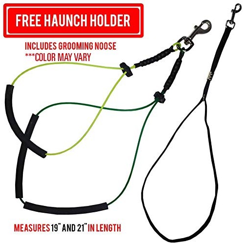 Grooming Arm with Clamp 36 Adjustable Arm-Black and Dog Groomi...