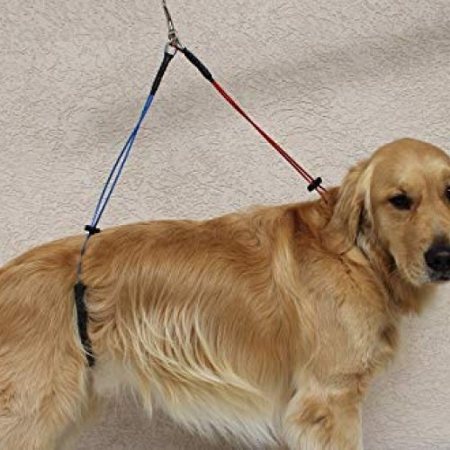 No Sit Pet Haunch Holder Dog Grooming Arm Restraint for Small, Me...