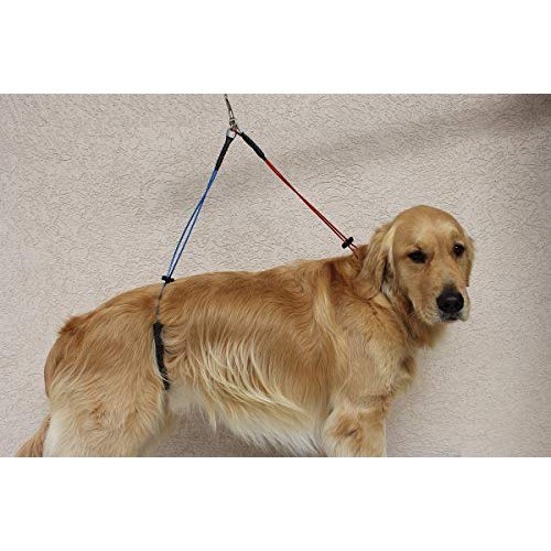 No Sit Pet Haunch Holder Dog Grooming Arm Restraint for Small, Me...