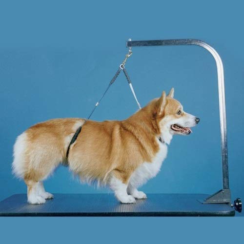 No Sit Pet Haunch Holder Dog Grooming Arm Restraint for Small, Me...