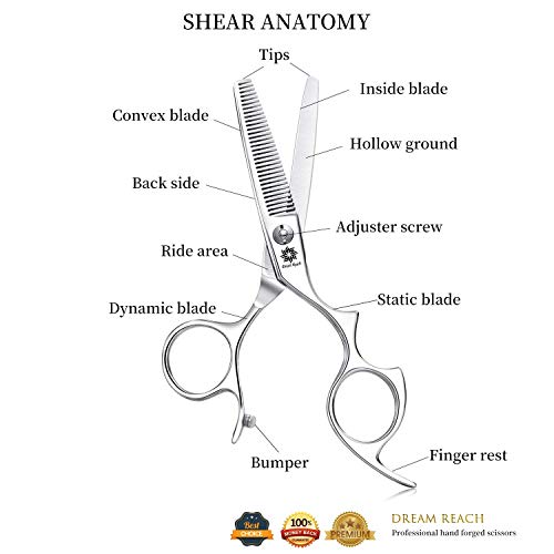 Dream Reach 6.0 inches Hair Scissors/Shears Set – Barber Shears S...