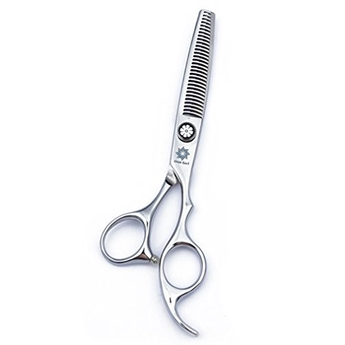 Dream Reach Salon Professional 6.0 Hair Thinning/Texturizing/Ble...