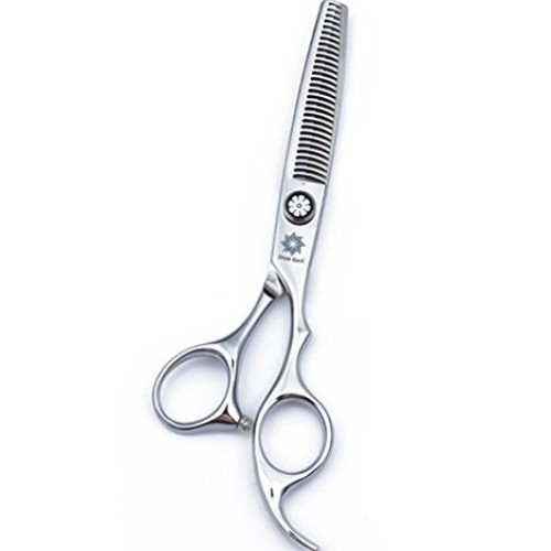 Dream Reach Salon Professional 6.0 Hair Thinning/Texturizing/Ble...