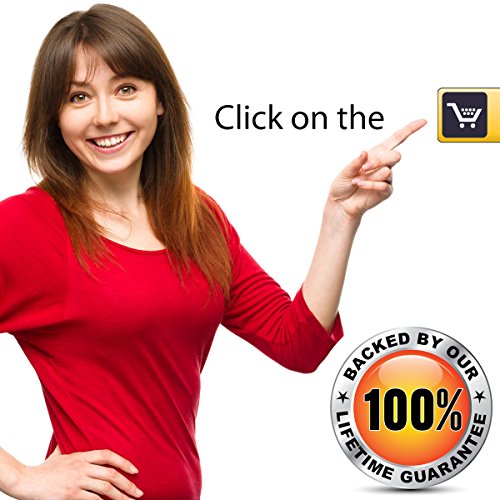 MOLDEX Sparkplugs Soft Foam Earplugs 50 Pairs Ear Plugs for Sleep...