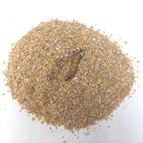 E-Z Botanicals a Division of DBDPet Mealworm & Superworm Bedding ...