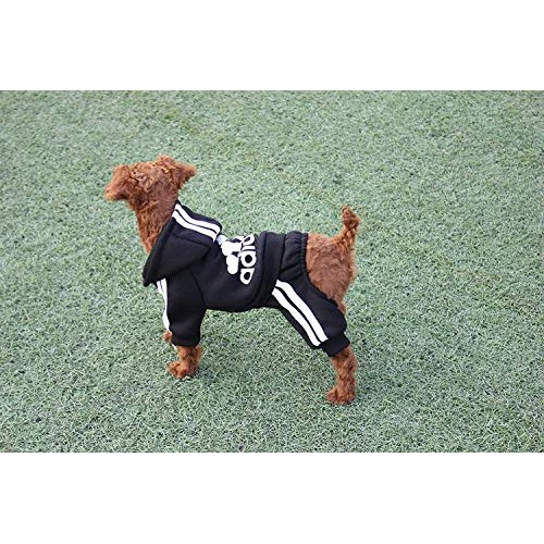BONDOGLAND Winter Puppy Hoodie for Small Dogs Boy Girl Warm Coat ...