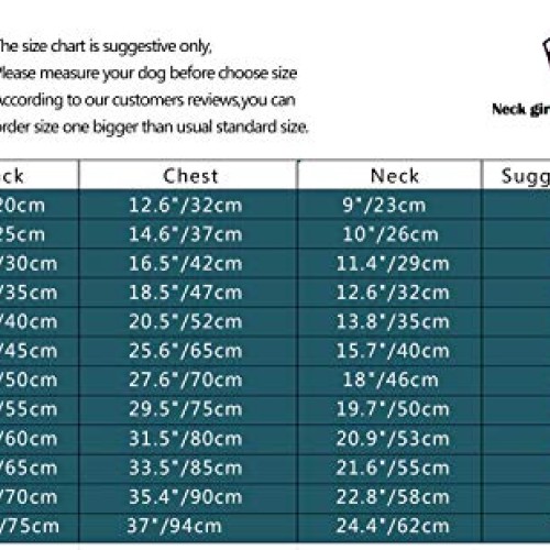 BONDOGLAND Winter Puppy Hoodie for Small Dogs Boy Girl Warm Coat ...