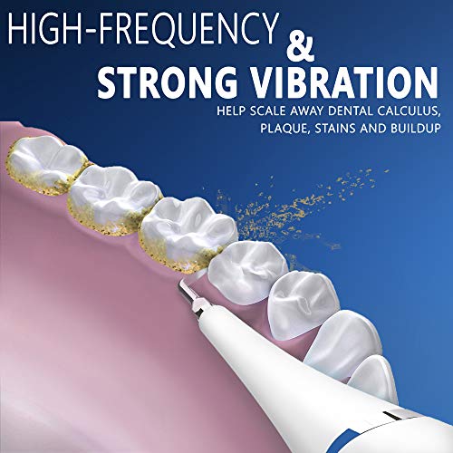 Plaque Remover For Teeth Cleaning Kit - Gum Stimulator - Dental C...