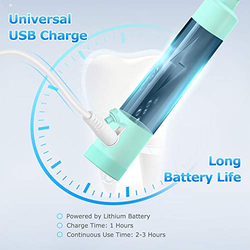 Electric Plaque Remover for Teeth, Ultrasonic Tooth Cleaner Denta...
