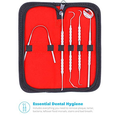 Equinox International Dental Hygiene Kit - Includes Tarter Scrape...
