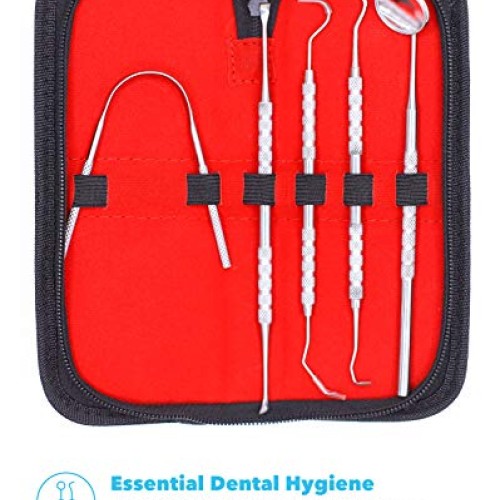 Equinox International Dental Hygiene Kit - Includes Tarter Scrape...