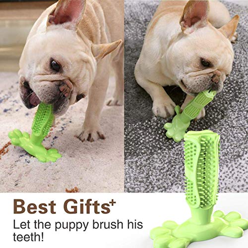 Erichome Dog Toothbrush Chew Toys - 2020 Upgraded Puppy Dog Teeth...