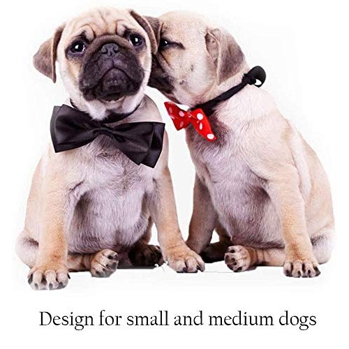 Erichome Dog Toothbrush Chew Toys - 2020 Upgraded Puppy Dog Teeth...