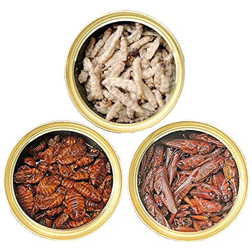 Canned Insect Assortment 3 Pack - Healthy High-Protein Treat - ...