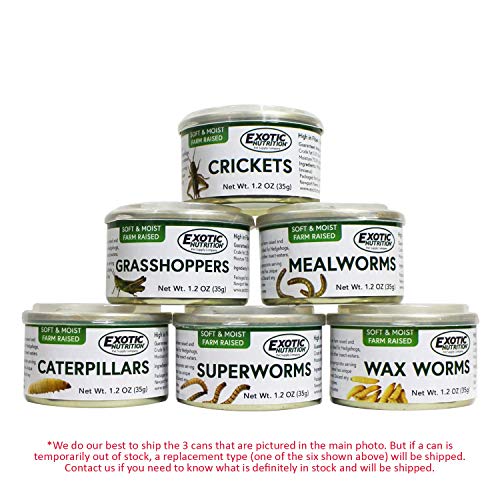 Canned Insect Assortment 3 Pack - Healthy High-Protein Treat - ...