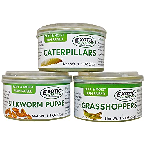 Canned Insect Assortment 3 Pack - Healthy High-Protein Treat - ...