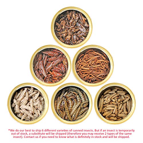 Canned Insect Assortment 6 Pack - Healthy High Protein Treat - Fo...
