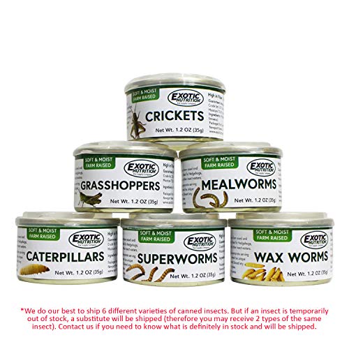 Canned Insect Assortment 6 Pack - Healthy High Protein Treat - Fo...