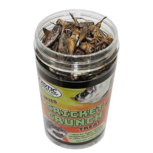 Cricket Crunch 1.6 oz - All Natural Healthy High Protein Insect...