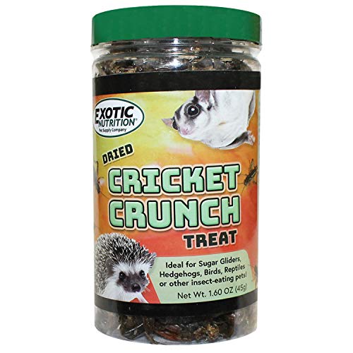 Cricket Crunch 1.6 oz - All Natural Healthy High Protein Insect...