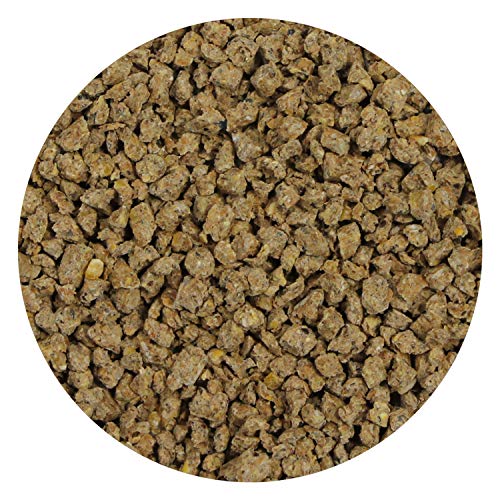 Mealworm Chow 1 lb. - Highly Nutritional Healthy Feed for Breedin...