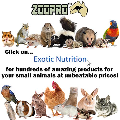 Mealworm Keeper - Healthy Bedding & Feed for Breeding Live Feeder...