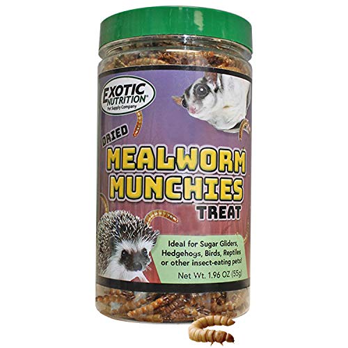 Mealworm Munchies 1.9 oz. - All Natural Healthy High Protein In...