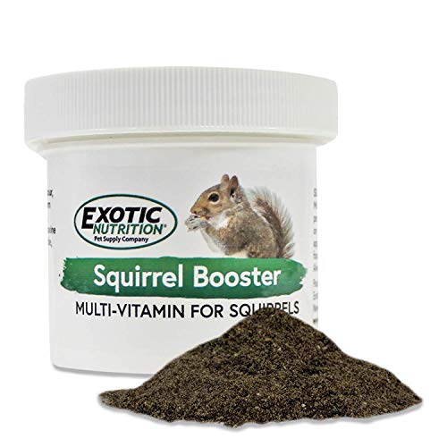 Squirrel Food Starter Package - Includes Nutritionally Complete D...