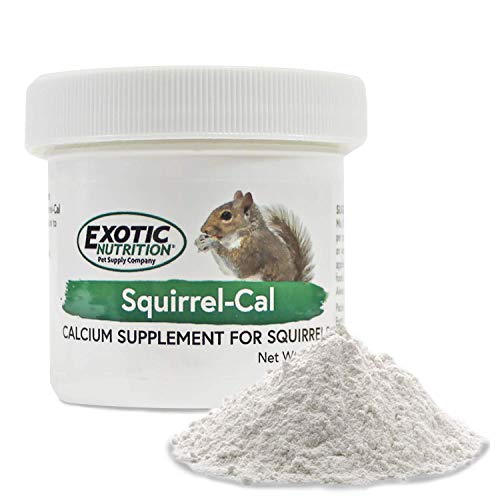 Squirrel Food Starter Package - Includes Nutritionally Complete D...