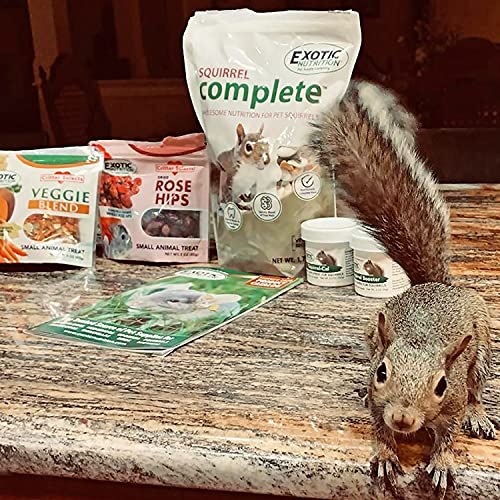 Squirrel Food Starter Package - Includes Nutritionally Complete D...