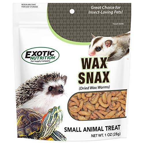 Wax Snax - Dried Wax Worm Insect Treat - Hedgehogs, Sugar Gliders...
