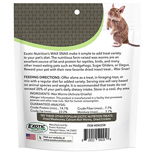Wax Snax - Dried Wax Worm Insect Treat - Hedgehogs, Sugar Gliders...
