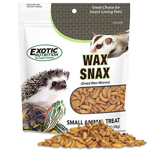 Wax Snax - Dried Wax Worm Insect Treat - Hedgehogs, Sugar Gliders...