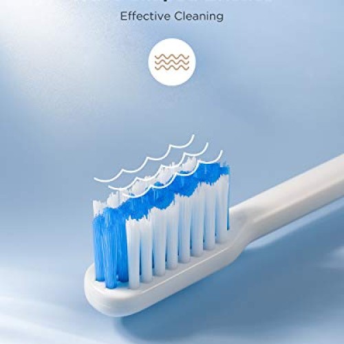 Activated Charcoal Liquid Toothpaste for Whitening Teeth, Travel ...