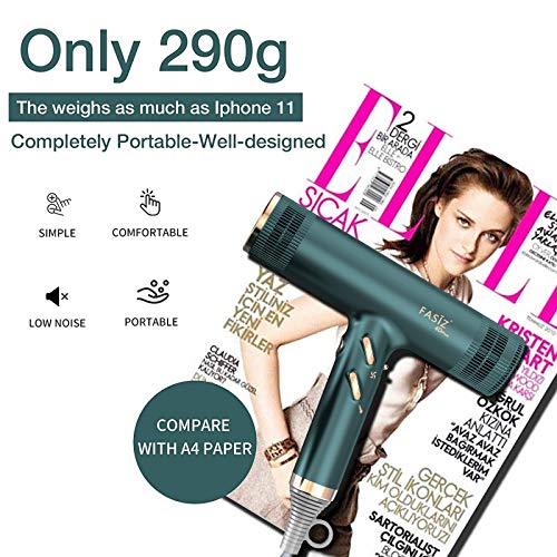 FASIZ Hair Dryers,Professional Ionic Salon Hair Blow Dryer, Light...