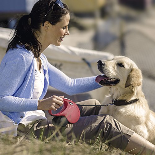 FLEXI New Classic Retractable Dog Leash Cord, 10 ft, Extra Smal...
