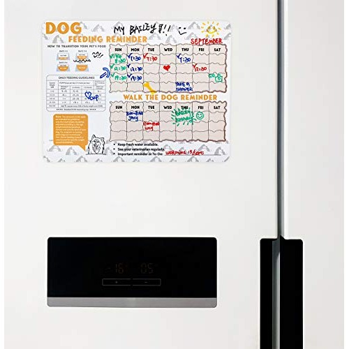 Did You Feed the Dog?Feeding Reminder Refrigerator Magnet,Size 11...