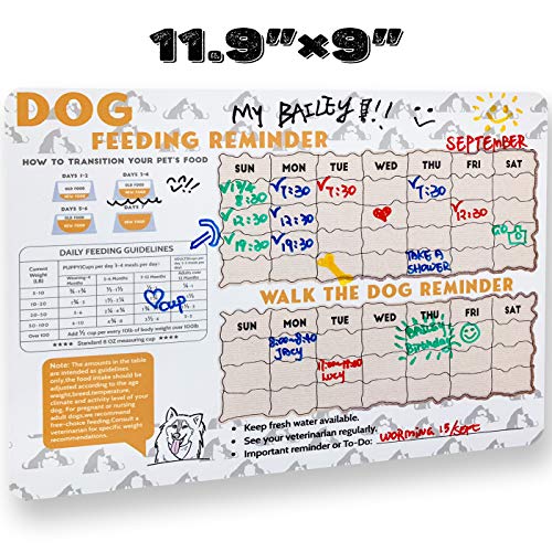 Did You Feed the Dog?Feeding Reminder Refrigerator Magnet,Size 11...