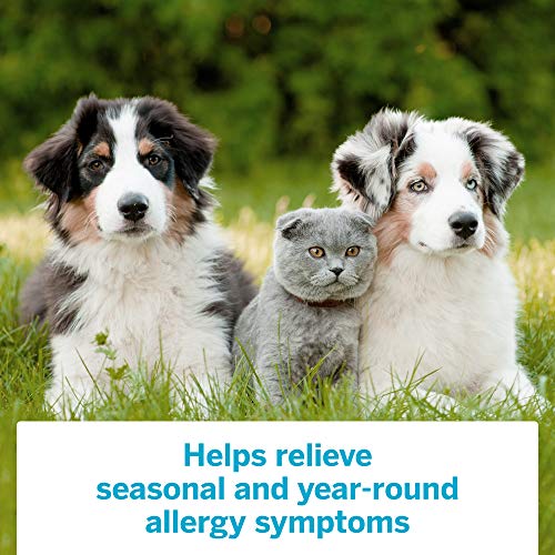 Flonase Sensimist Allergy Relief Nasal Spray, 240 Count 2 bottles...
